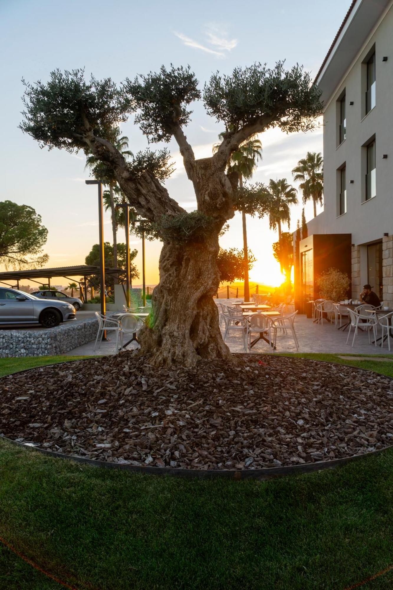 Hotel Rural Finca La Desa Miajadas Eksteriør billede